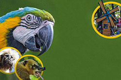 Tierpark Zittau - Partner der Sachsenlotto Bonuswelt 