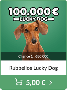 Lucky Dog in den Warenkorb