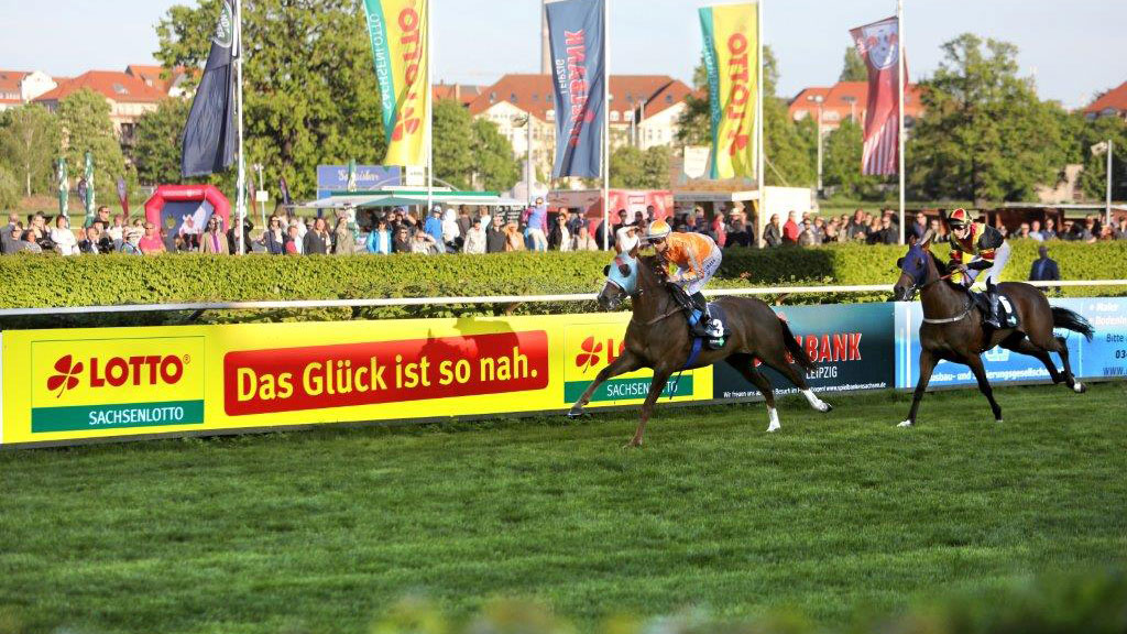 Zieleinlauf auf der Rennbahn Scheibenholz in Leipzig zum Sachsenlotto Cup 2023